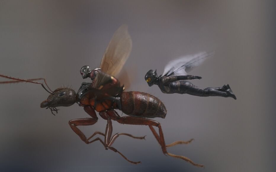 Image de Ant-Man et la Guêpe